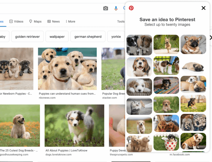 Add Pinterest Button to Chrome & Safari in 2025 Guide